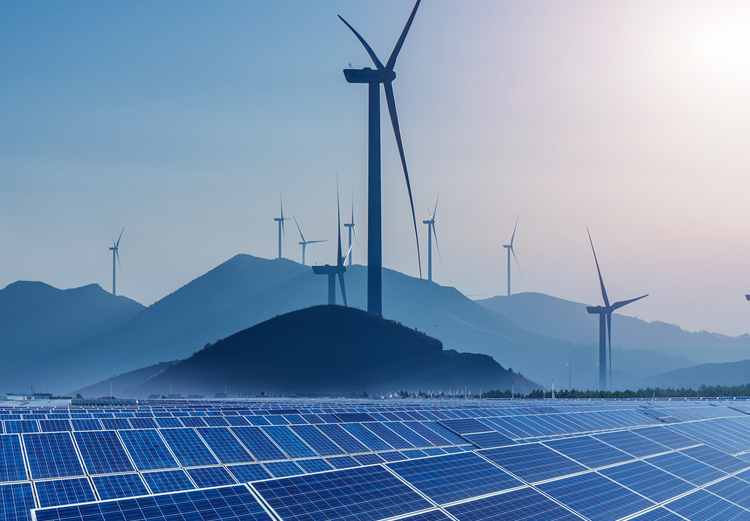 2023年新能源板块及华岩独立餐饮品牌